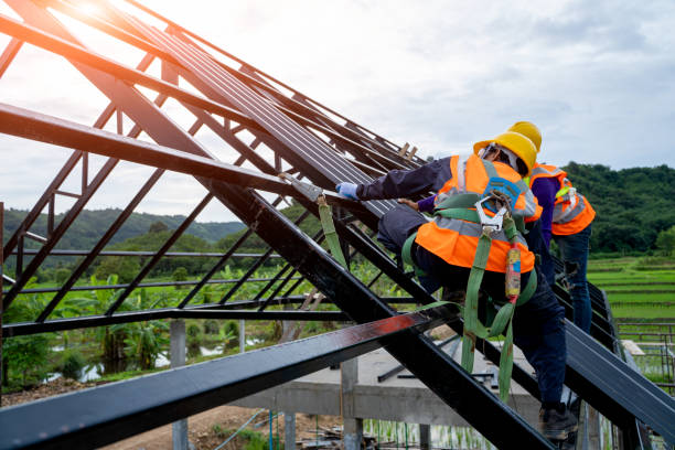Professional Roofing Contractor in Rendon, TX