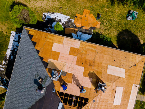Best Gutter Installation and Roofing  in Rendon, TX