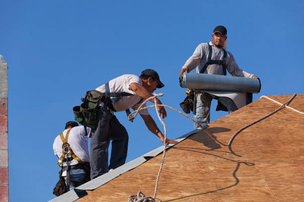 Best Metal Roofing Contractor  in Rendon, TX