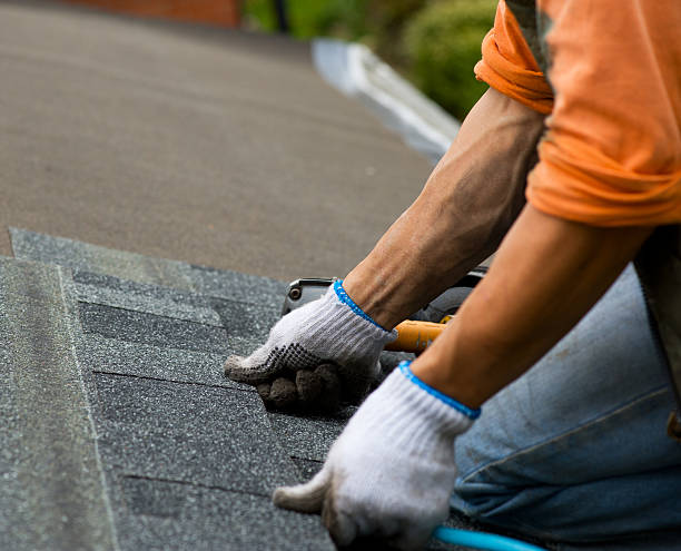 Best Roof Gutter Cleaning  in Rendon, TX